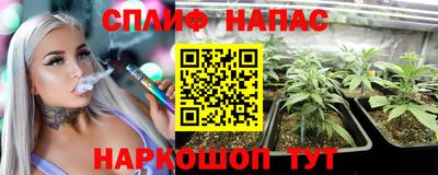 МДПВ Лесосибирск