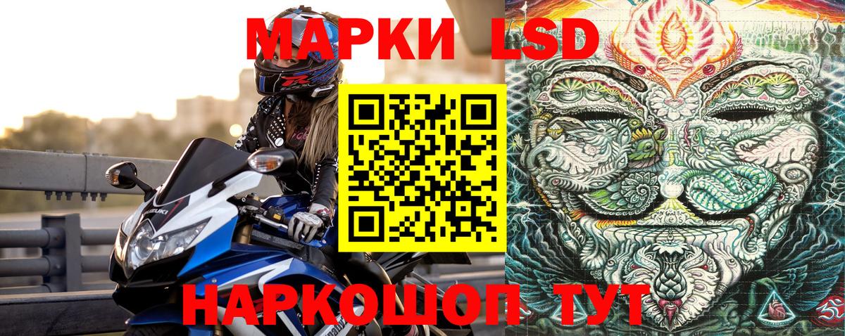 Наркотические марки 1,5мг  Наркотические марки 1,5мг  Камышлов  Вход с VPN 