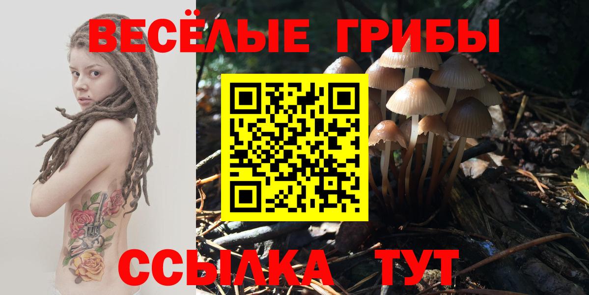 МАРИХУАНА  Камышлов  ТГК  COCAIN  Меф  MDMA  Мефедрон   ГАШИШ  Вход с VPN 