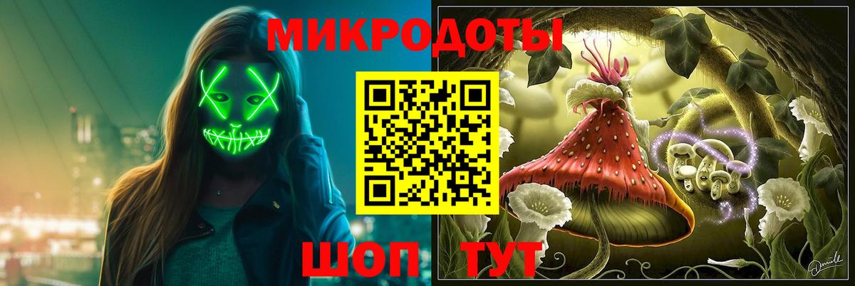 Псилоцибиновые грибы ЛСД Камышлов